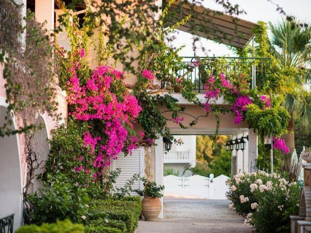 Hotel Sofia's